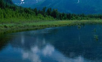Collect surface water
