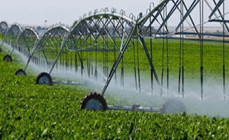 Irrigation and Drainage
